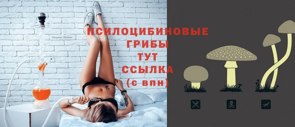 гашиш Богданович