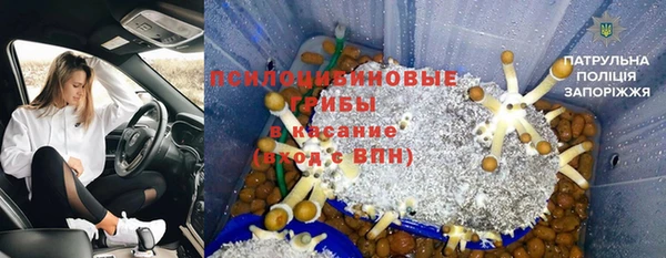 jwh Богородицк