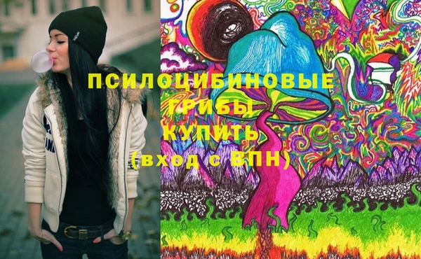 крисы Бугульма
