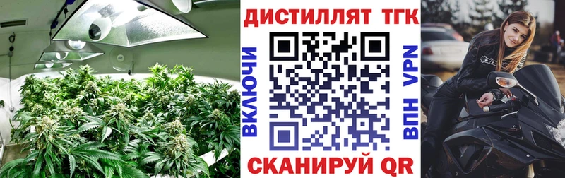 ТГК гашишное масло Купить где Пудож