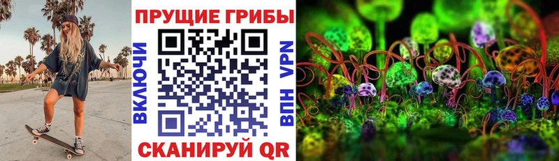 Псилоцибиновые грибы Cubensis  Купить  Пудож 
