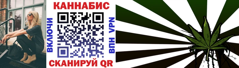 Купить  Пудож  Бошки Шишки план 